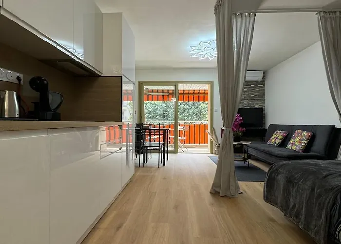 Juan-les-pins Clim-plage 200m -piscine 公寓 昂蒂布